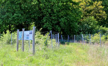Nonnensee bei Bergen auf der Insel Rügen – Lehrpfadtafel 2