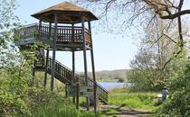 Nonnensee bei Bergen auf der Insel Rügen – Lehrpfadtafel 8