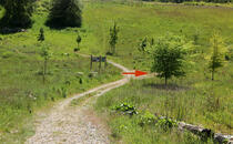 Nonnensee bei Bergen auf der Insel Rügen – Lehrpfadtafel 4