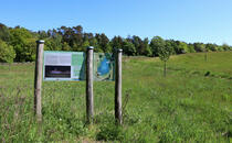 Nonnensee bei Bergen auf der Insel Rügen – Lehrpfadtafel 1