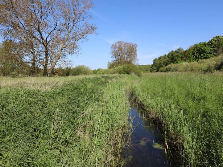 Nonnensee bei Bergen auf der Insel Rügen – Bach »Duwenbeek«