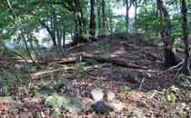 Nonnensee bei Bergen auf der Insel Rügen – Hügelgrab