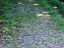 Nonnensee bei Bergen auf der Insel Rügen – Weg im Süden