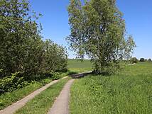 Nonnensee bei Bergen auf der Insel Rügen – Weg im Nordwesten