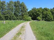 Nonnensee bei Bergen auf der Insel Rügen – Weg im Norden
