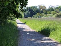 Nonnensee bei Bergen auf der Insel Rügen – Weg im Osten
