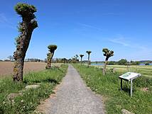 Nonnensee bei Bergen auf der Insel Rügen – Weg im Südwesten