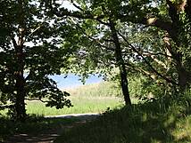 Nonnensee bei Bergen auf der Insel Rügen – Weg zum See