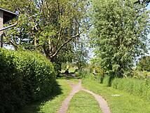 Nonnensee bei Bergen auf der Insel Rügen - Weg im Westen