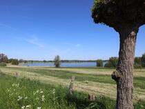 Nonnensee bei Bergen auf der Insel Rügen