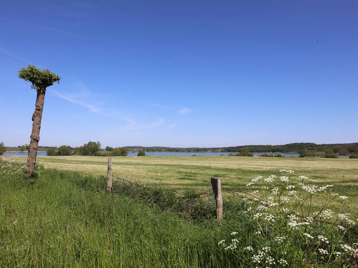 Nonnensee bei Bergen auf der Insel Rügen