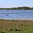 Nonnensee bei Bergen auf der Insel Rügen – Schwäne