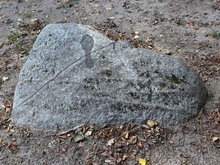 Mägdesprung im Rugardwald in Bergen auf Rügen
