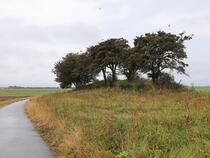 Hügelgrab / Großsteingrab Starrvitz bei Gramtitz