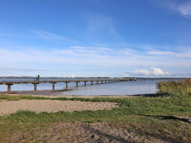 Seebrücke Dranske / Insel Rügen