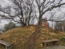 Bronzezeitliches Grab am Speckbusch