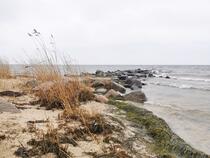 Schwedenbrücke Göhren