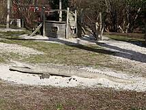 Spielplatz Boddenstraße