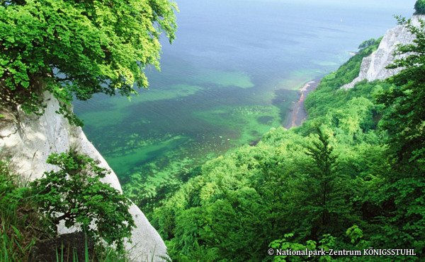 Nationalpark-Zentrum Königsstuhl - Blick vom Königsstuhl