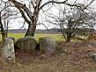 Großdolmen bei Lancken-Granitz - Preetz 2