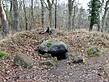 Großdolmen bei Lancken-Granitz - Preetz 4