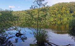 Seen der Insel Rügen