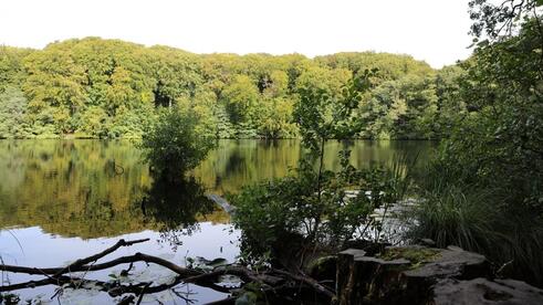 Insel Rügen - Herthasee