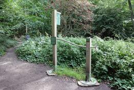 Wanderung zum Herthasee Insel Rügen - Flüsterrohr