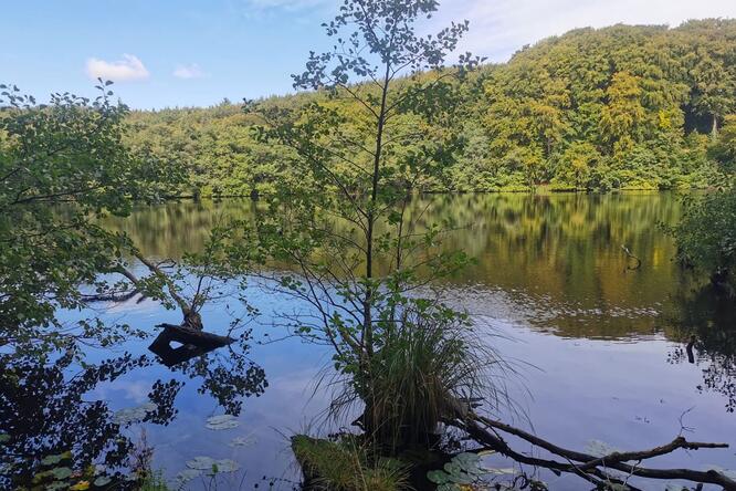 Wanderung zum Herthasee Insel Rügen - Herthasee