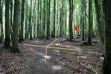 Wanderung zum Herthasee Insel Rügen - Wegkreuzung