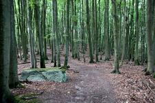 Wanderung zum Herthasee Insel Rügen - markanter Stein