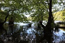 Wanderung zum Herthasee Insel Rügen - Herthasee