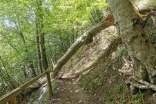 Wanderung zum Herthasee Insel Rügen - Wegführung