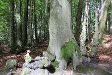 Wanderung zum Herthasee Insel Rügen - Impressionen