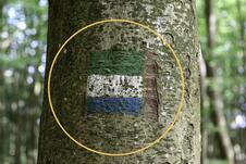 Wanderung zum Herthasee Insel Rügen - Wanderzeichen / Wegmarkierung