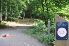 Wanderung zum Herthasee Insel Rügen - Orientierungspunkt 17