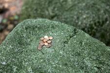 Wanderung zum Herthasee Insel Rügen - Pfenniggrab