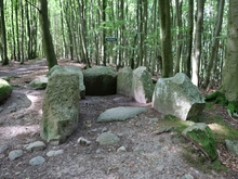 Großsteingrab Hagen Stubnitz 1, Pfenniggrab