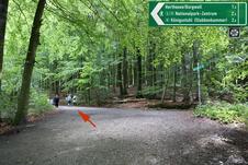 Wanderung zum Herthasee Insel Rügen - Wanderweg