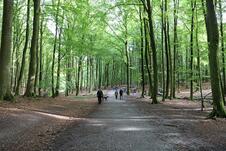 Wanderung zum Herthasee Insel Rügen - Wanderweg