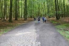 Wanderung zum Herthasee Insel Rügen - Wanderweg