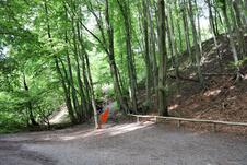 Wanderung zum Herthasee Insel Rügen - Weg am Burgwall