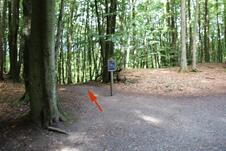 Wanderung zum Herthasee Insel Rügen - Weg zum Opferstein