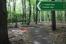 Wanderung zum Herthasee Insel Rügen - 