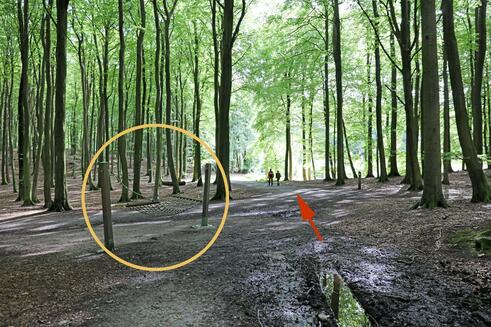 Wanderung zum Herthasee Insel Rügen - Hängematte