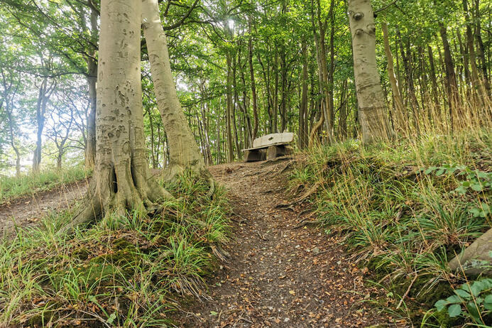 Nationalpark Jasmund Wanderung – Sitzgelegenheit