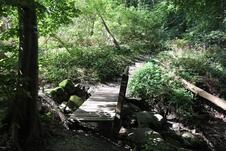 Nationalpark Jasmund Wanderung – Brücke