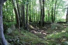 Nationalpark Jasmund Wanderung – Großsteingrab