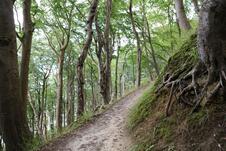 Nationalpark Jasmund Wanderung – Weg