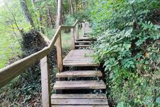 Nationalpark Jasmund Wanderung – Holzsteg